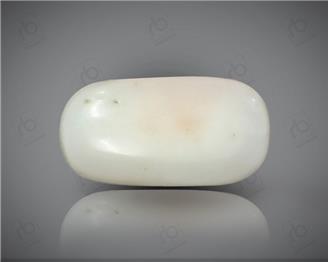 Natural White Coral ( Safed Mooga) Certified 10.20 CTS. ( 91528 )